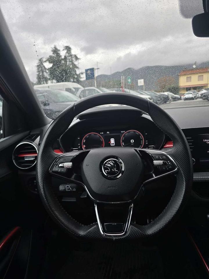 Skoda Skoda Fabia usata 13