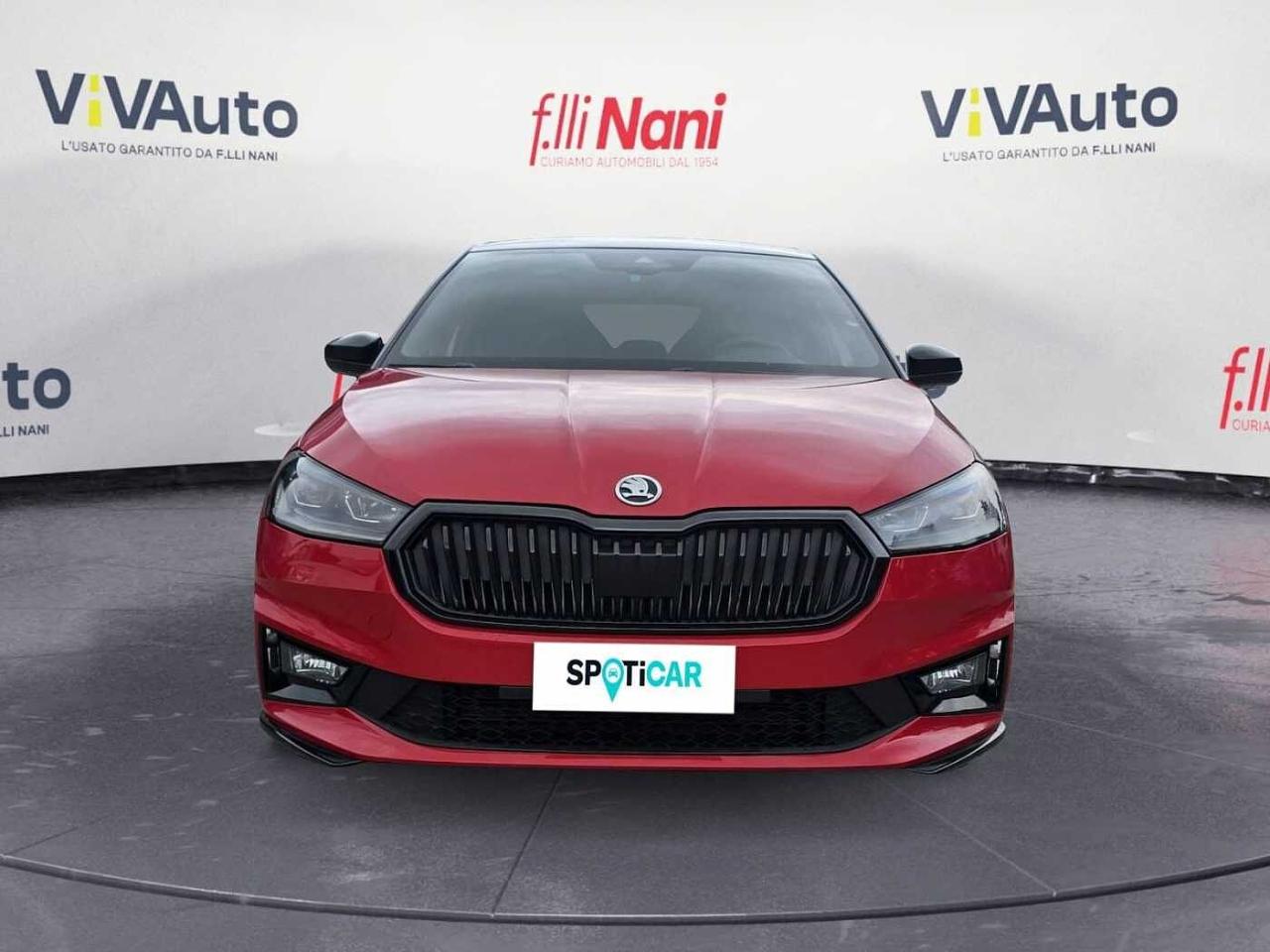 Skoda Skoda Fabia usata 19