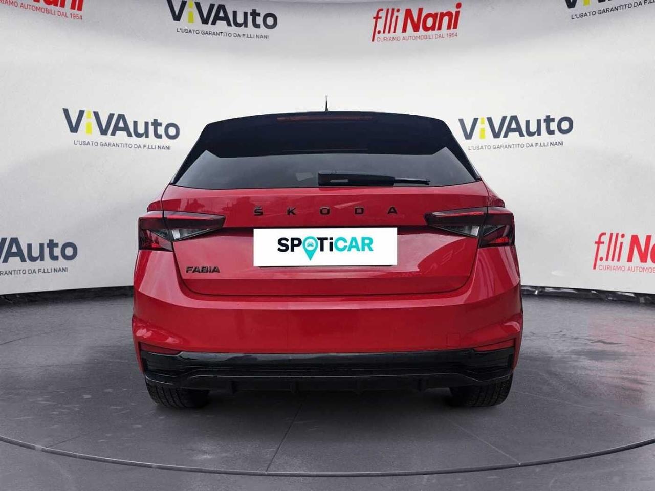 Skoda Skoda Fabia usata 20