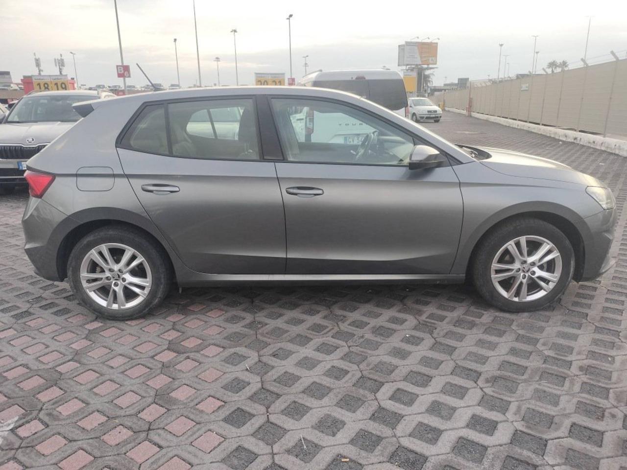 Skoda Skoda Fabia usata 2