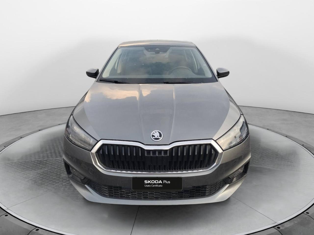 Skoda Skoda Fabia usata 13