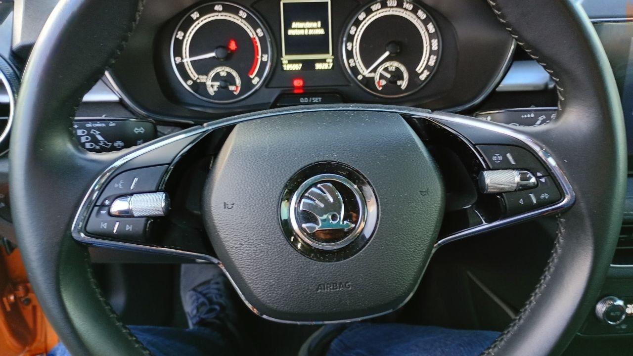 Skoda Skoda Fabia usata 21