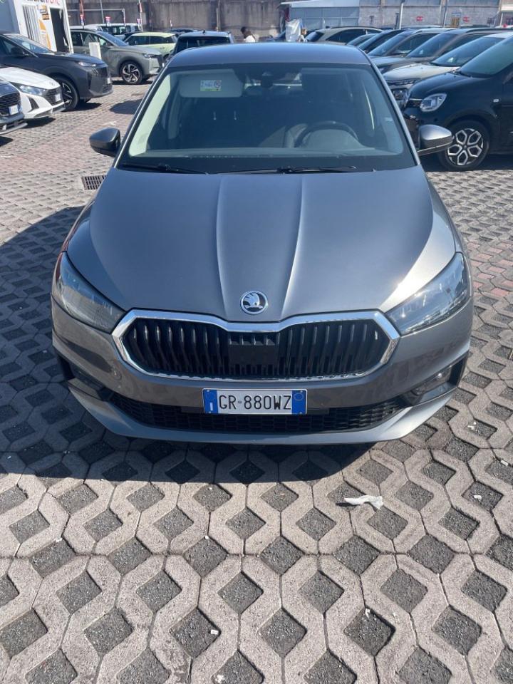 Skoda Skoda Fabia usata 10
