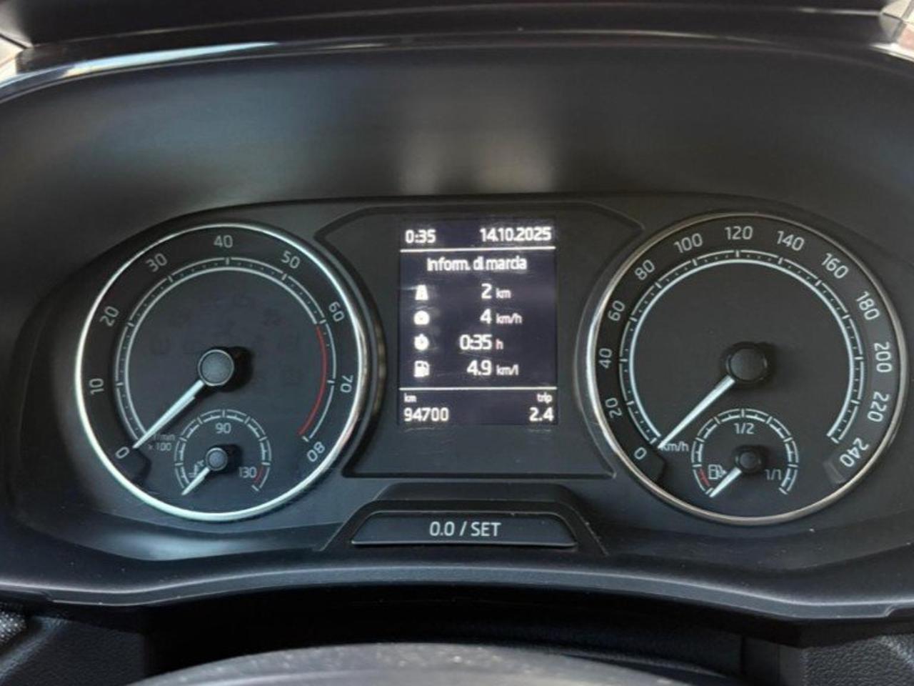 Skoda Skoda Fabia usata 6