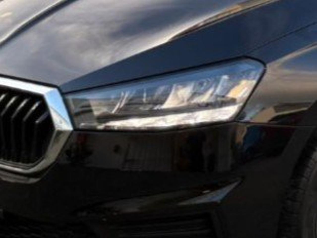 Skoda Skoda Fabia usata 10