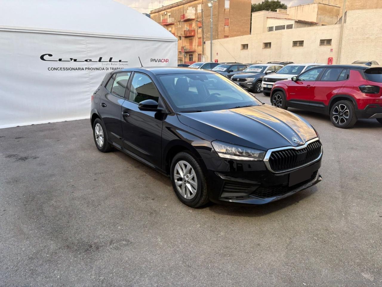 Skoda Skoda Fabia usata 11