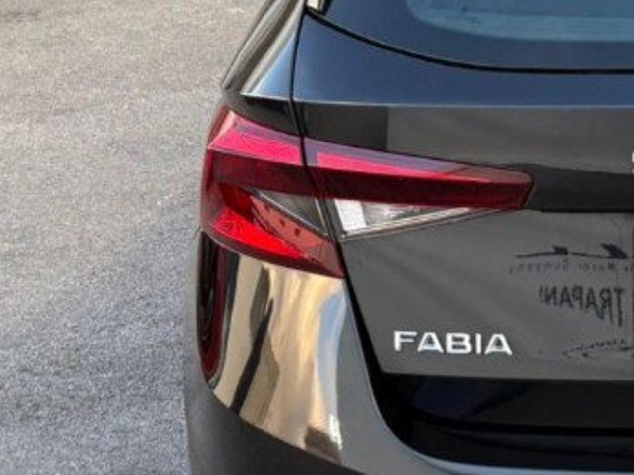 Skoda Skoda Fabia usata 13