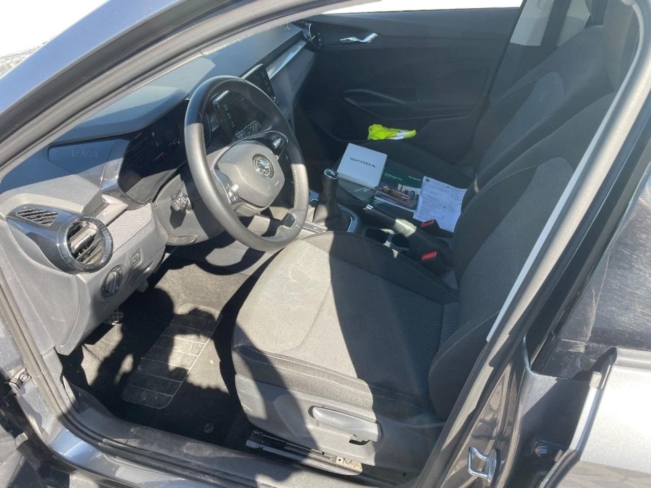 Skoda Skoda Fabia usata 17