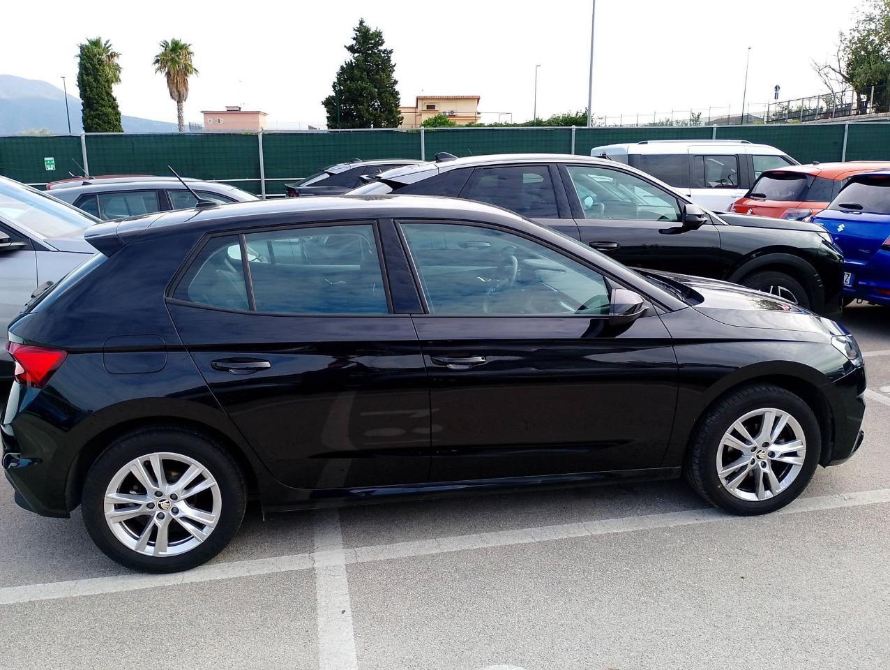 Skoda Skoda Fabia usata 6