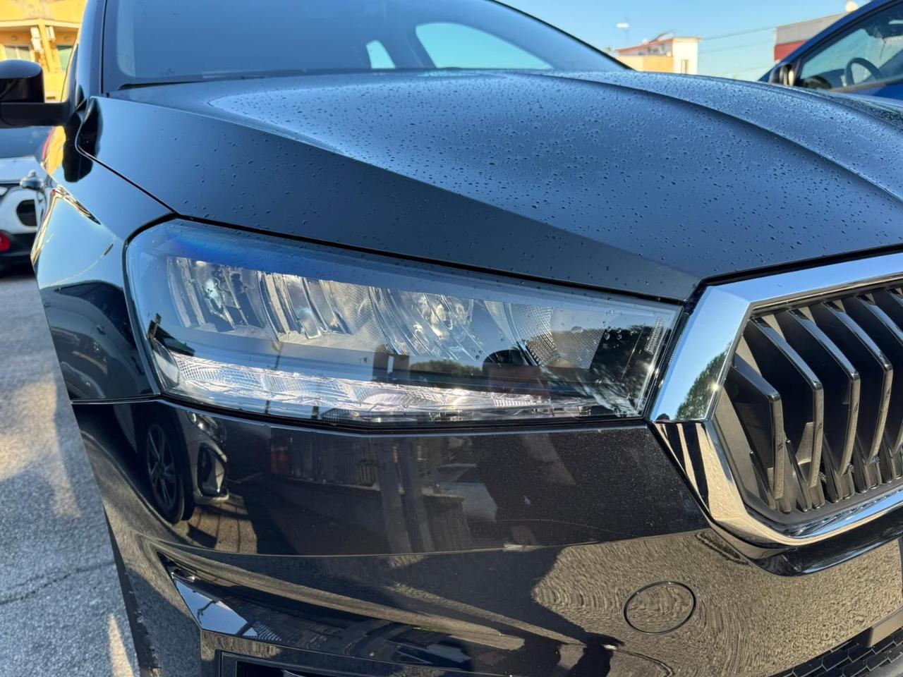 Skoda Skoda Fabia usata 10