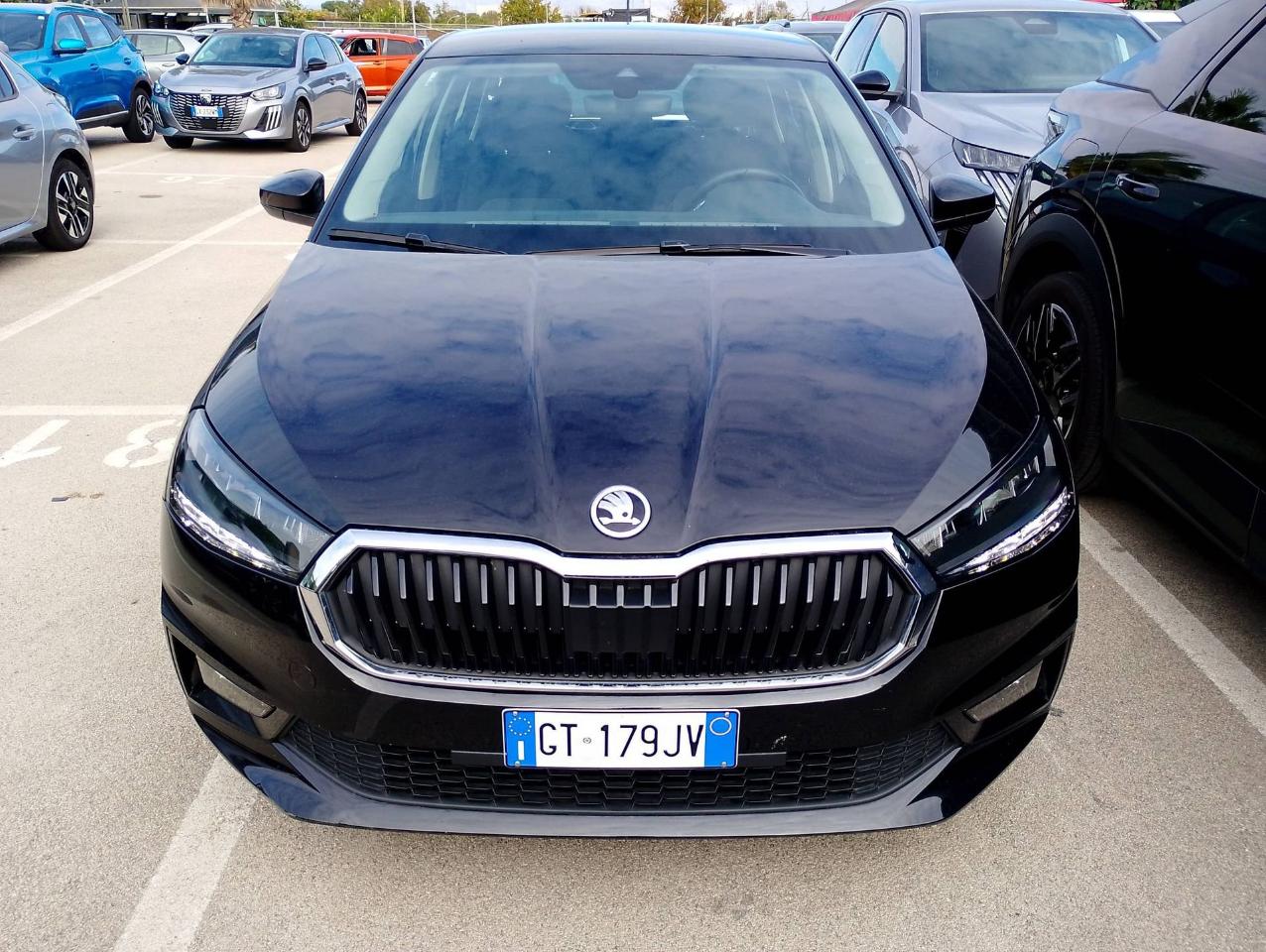 Skoda Skoda Fabia usata 19