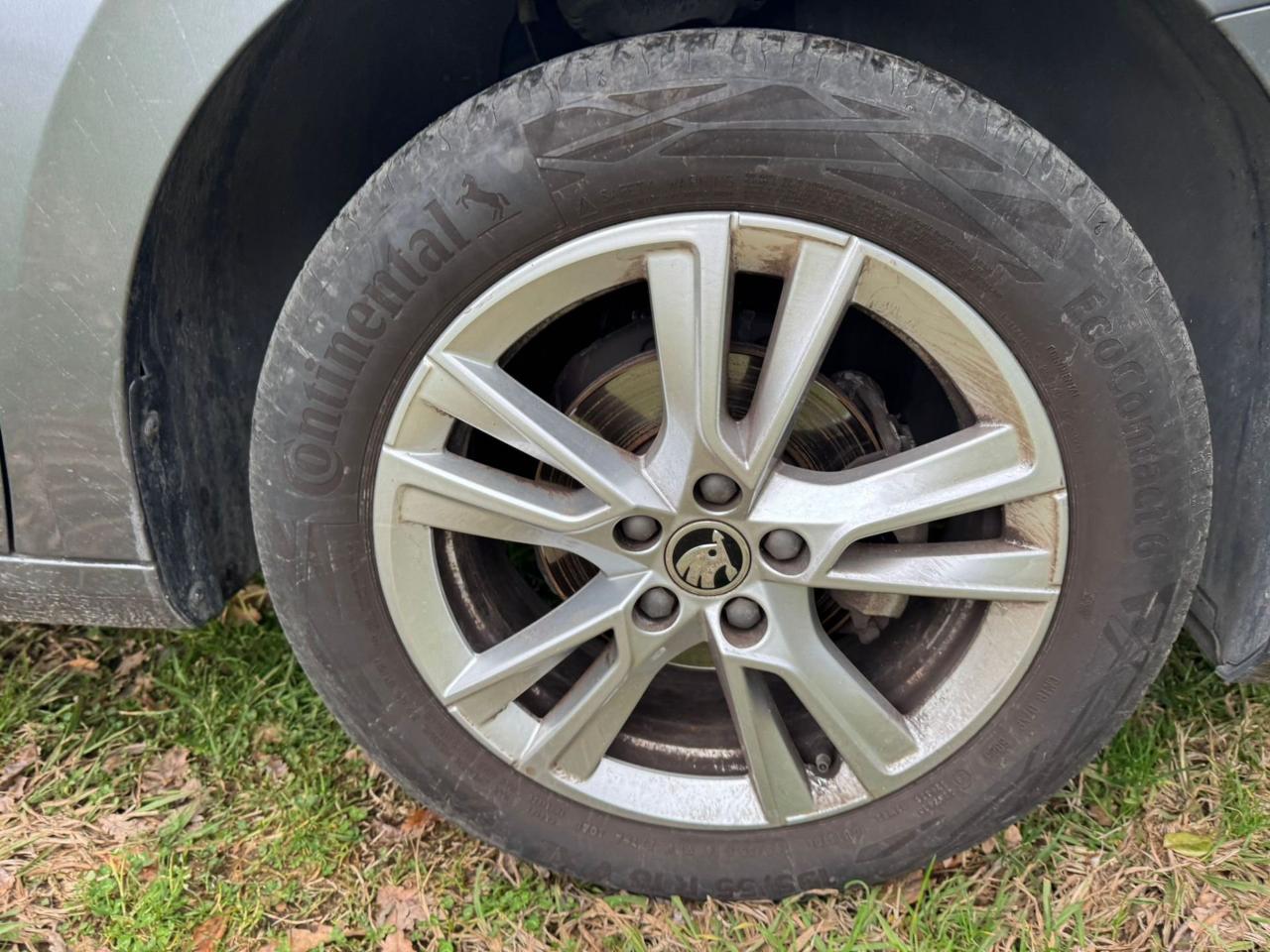 Skoda Skoda Fabia usata 17