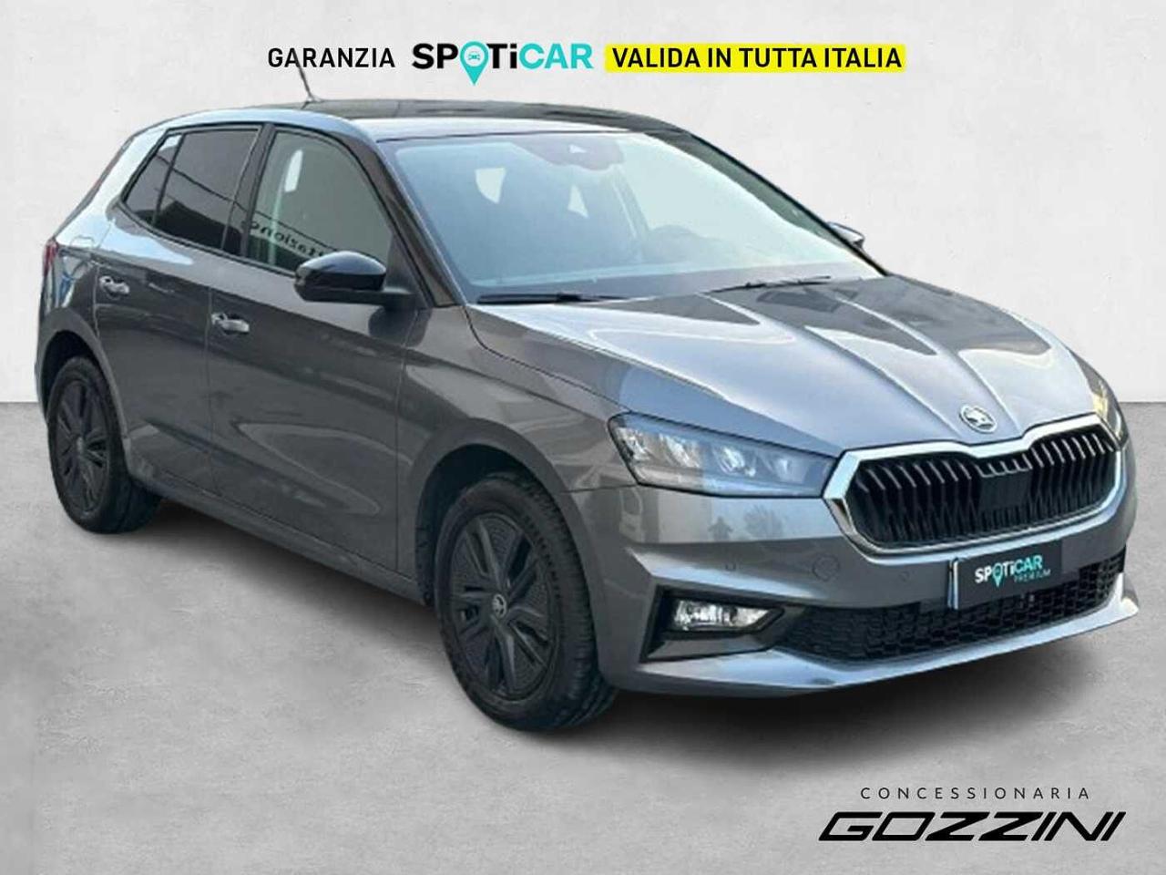 Skoda Skoda Fabia usata 10