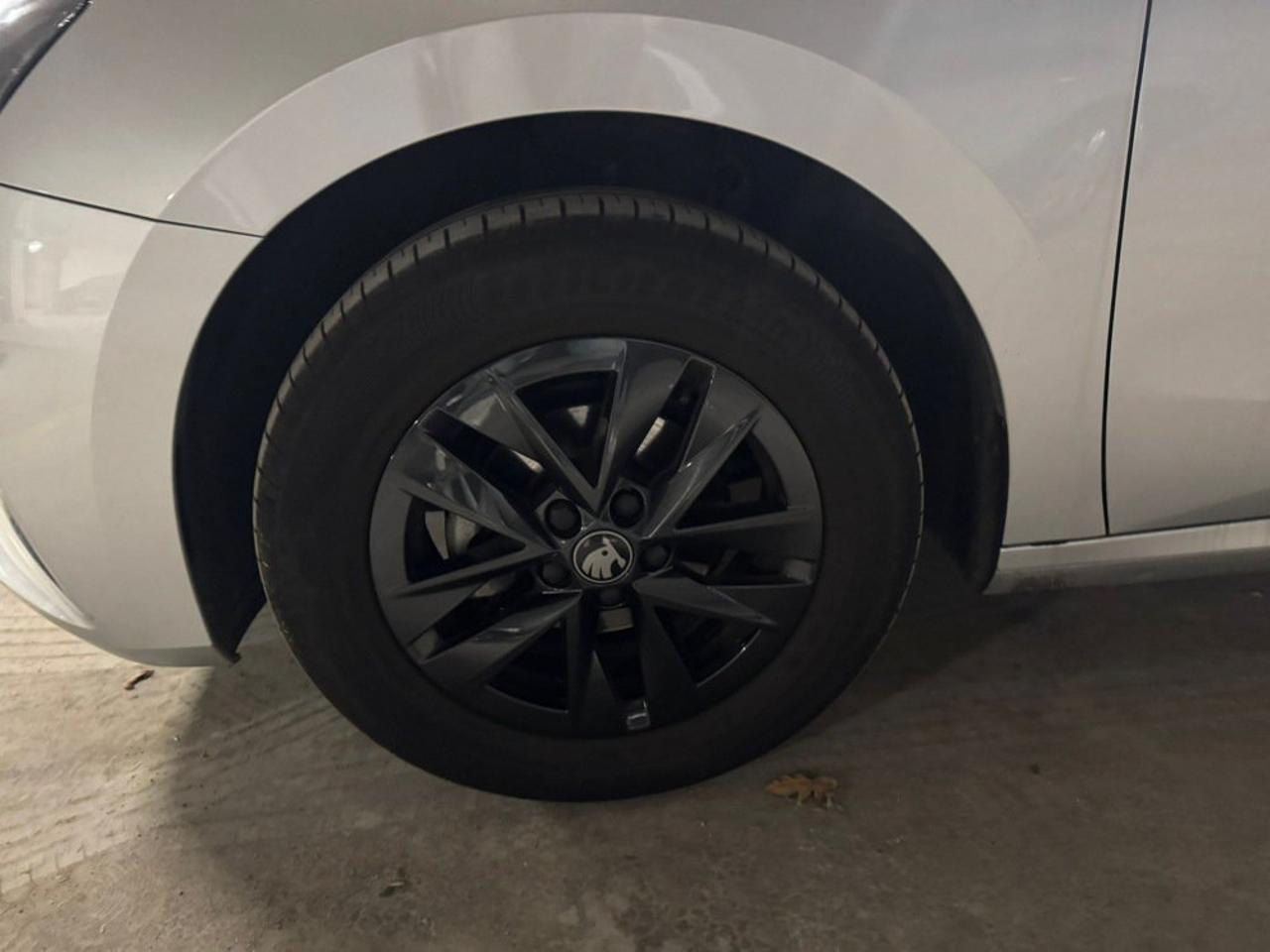 Skoda Skoda Fabia usata 20