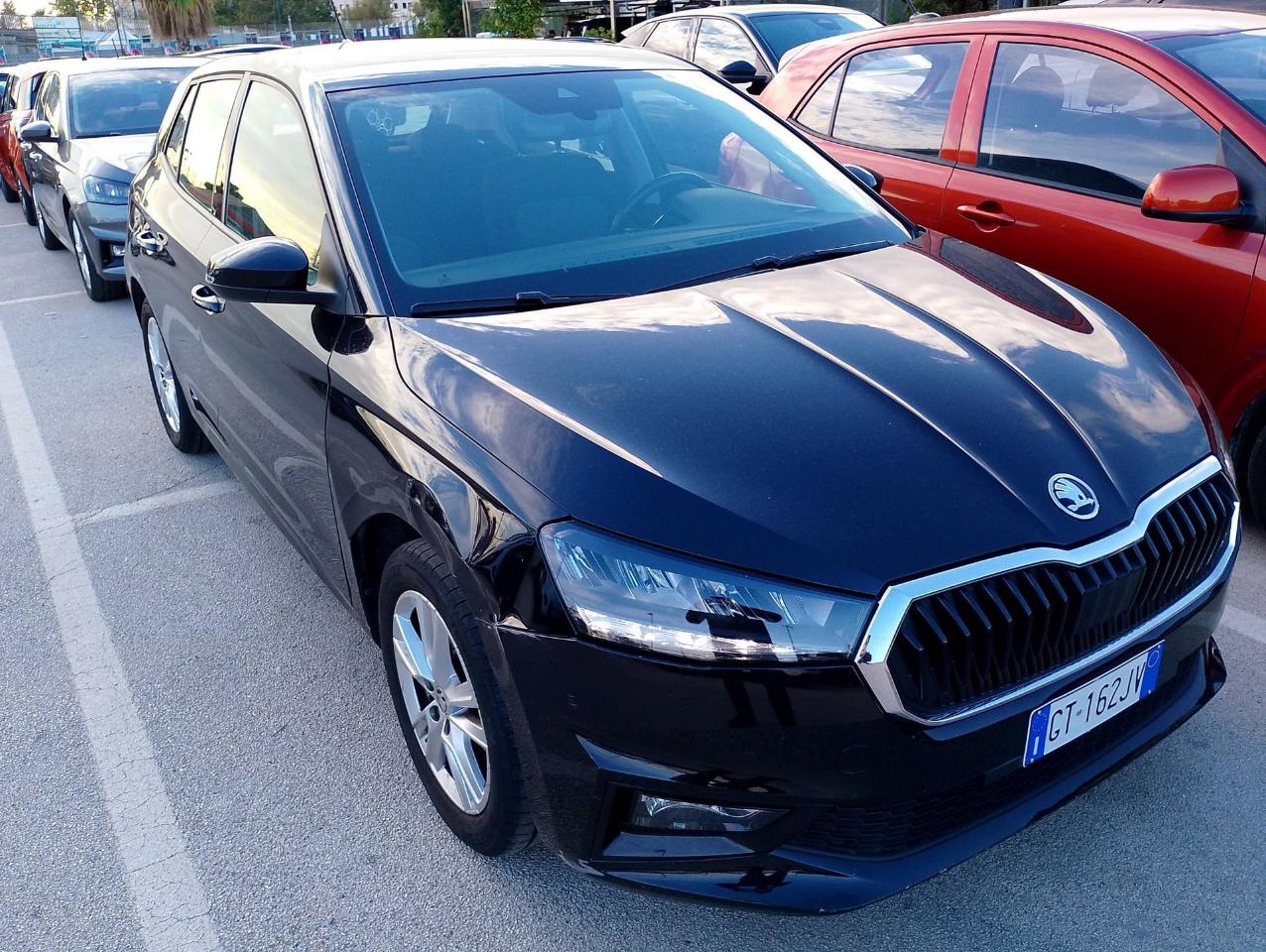 Skoda Skoda Fabia usata 11
