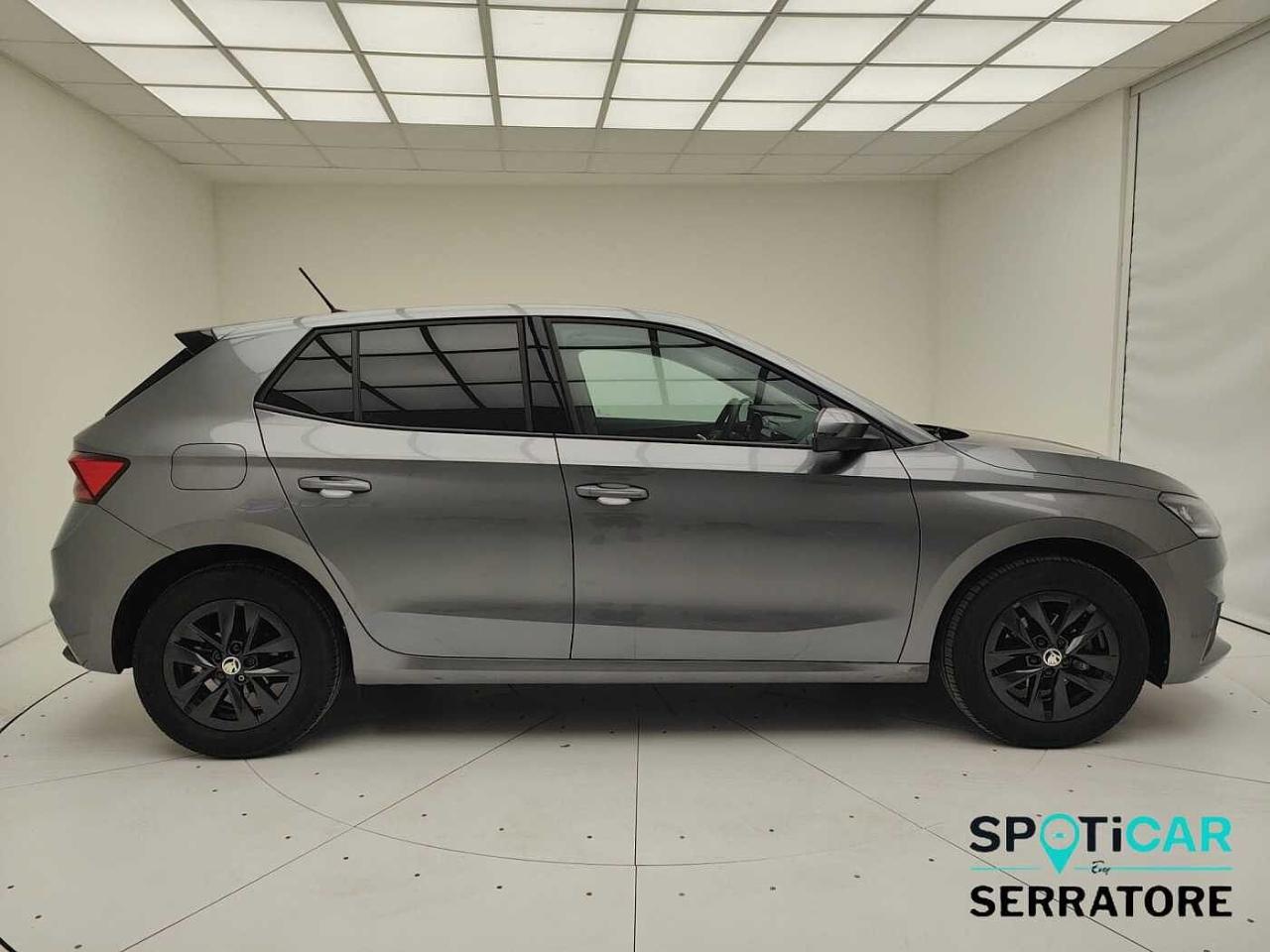 Skoda Skoda Fabia usata 10