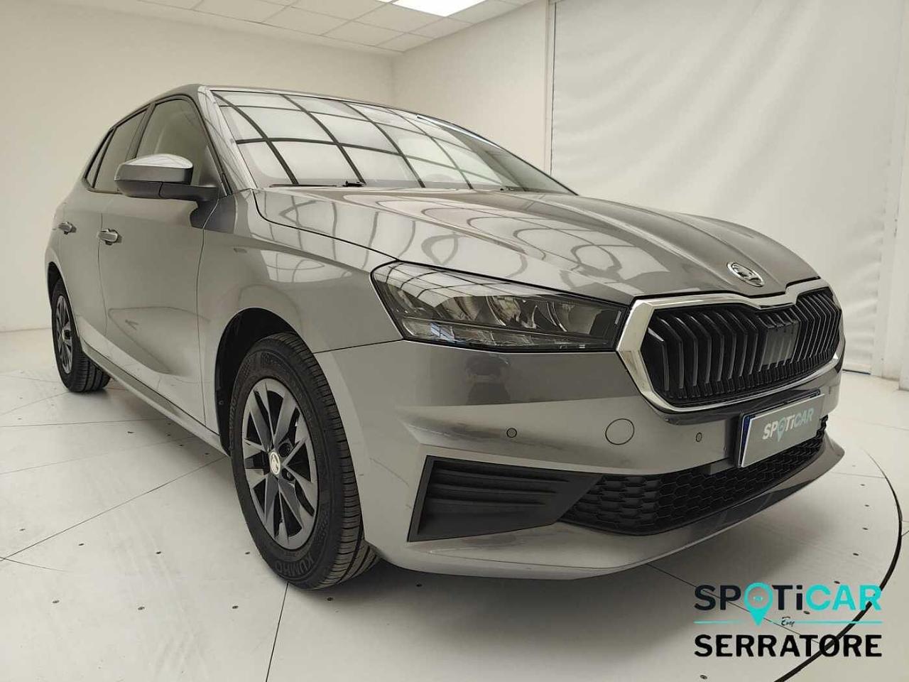 Skoda Skoda Fabia usata 13