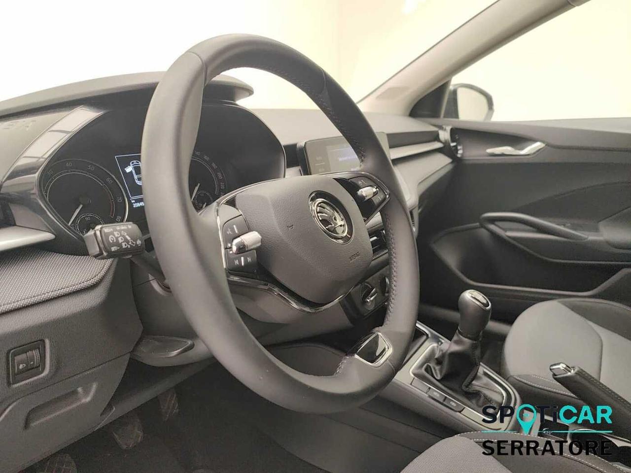Skoda Skoda Fabia usata 19