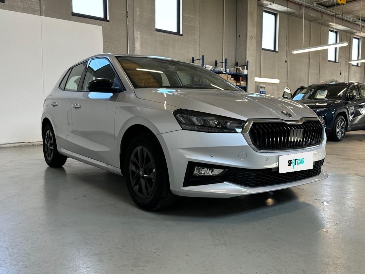 Skoda Skoda Fabia usata 15
