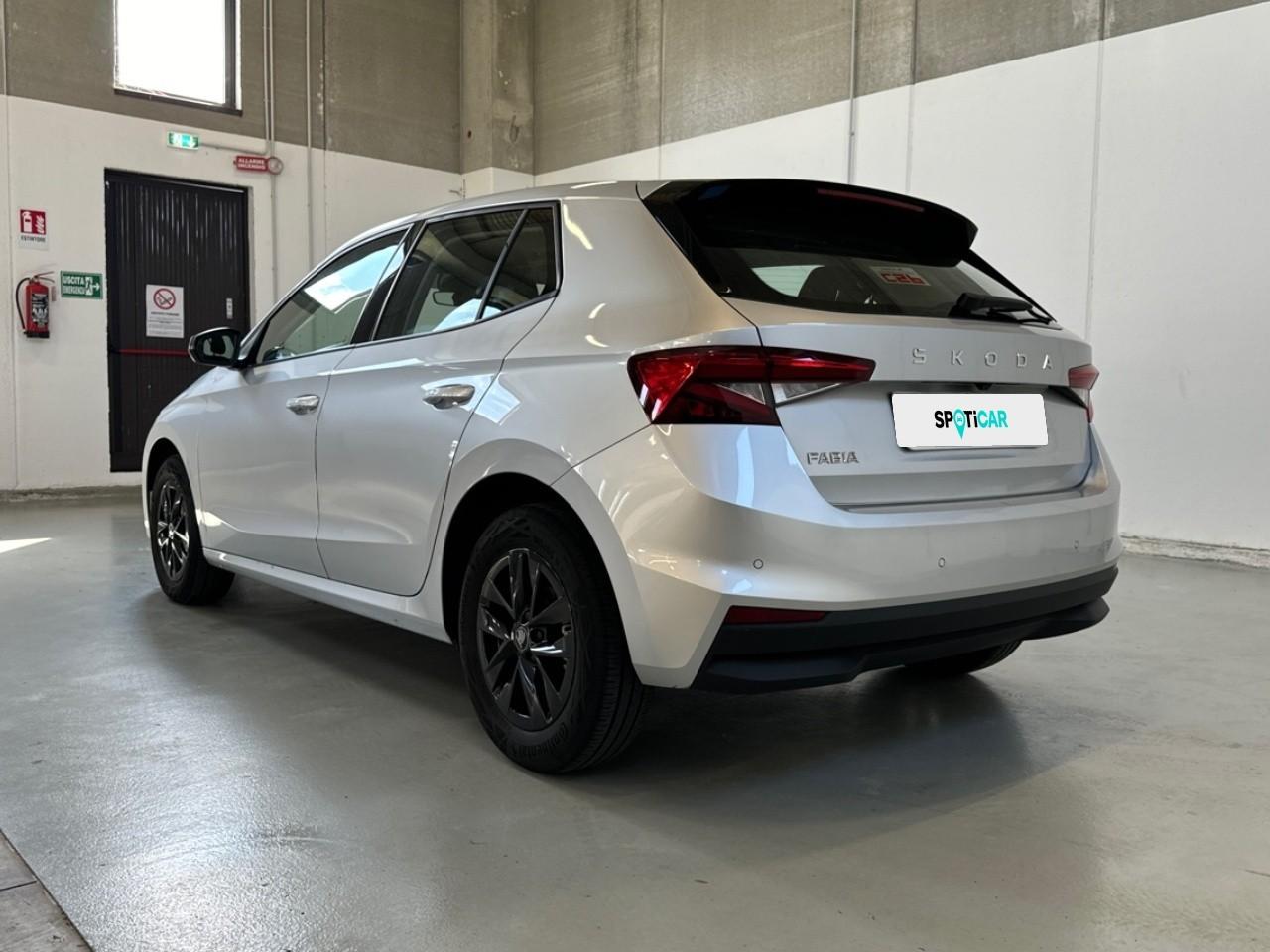Skoda Skoda Fabia usata 19