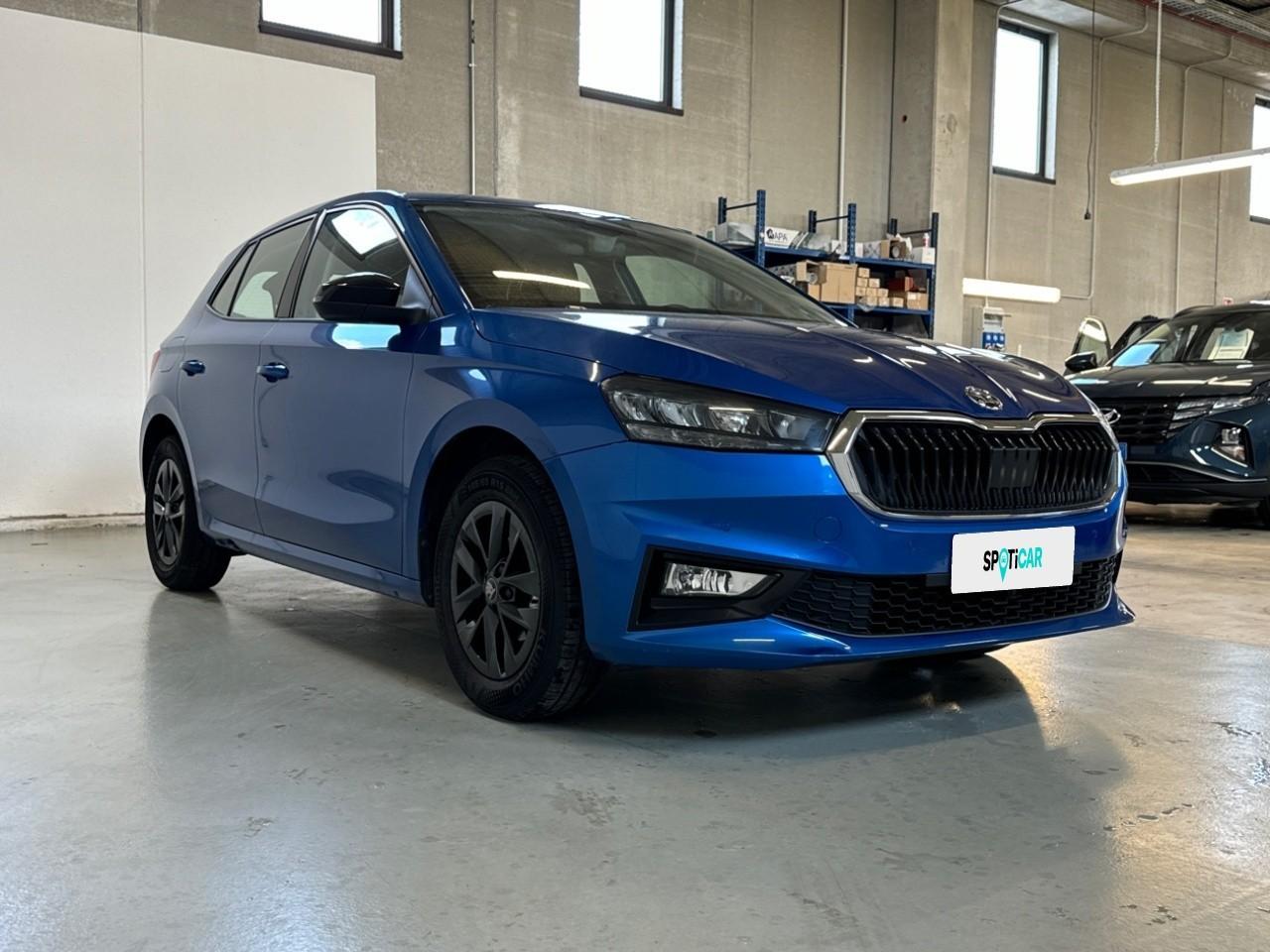 Skoda Skoda Fabia usata 15