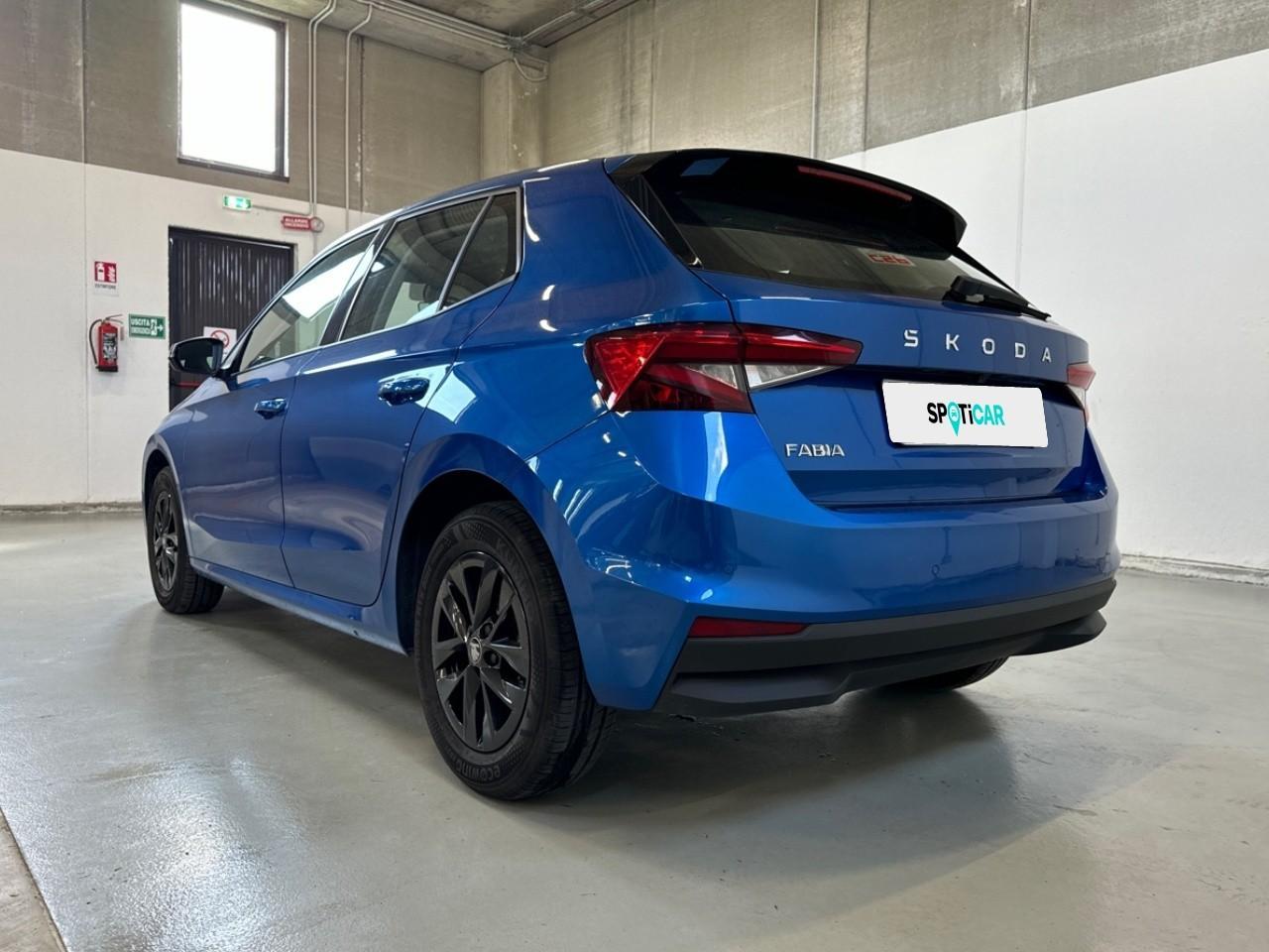 Skoda Skoda Fabia usata 19