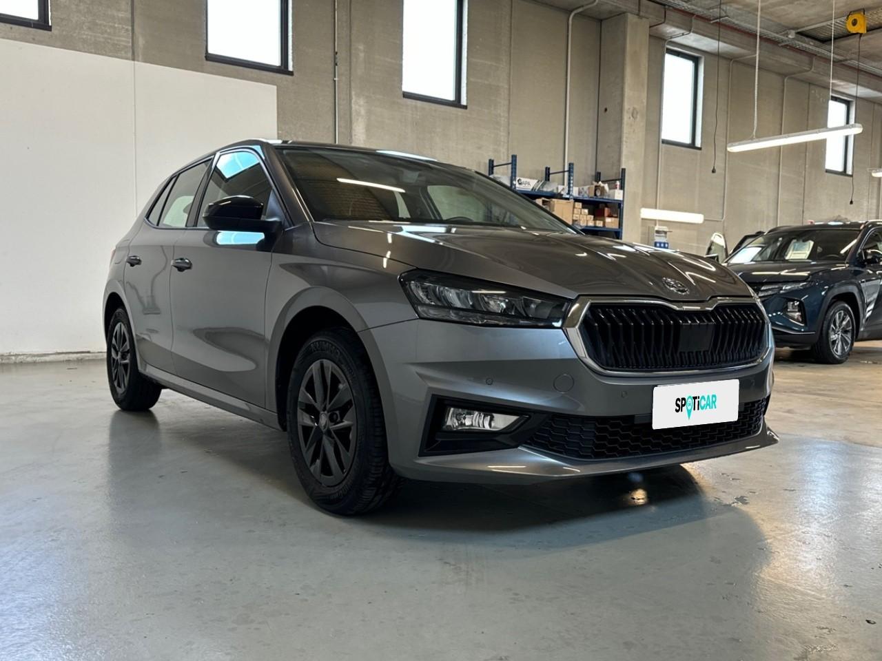 Skoda Skoda Fabia usata 15