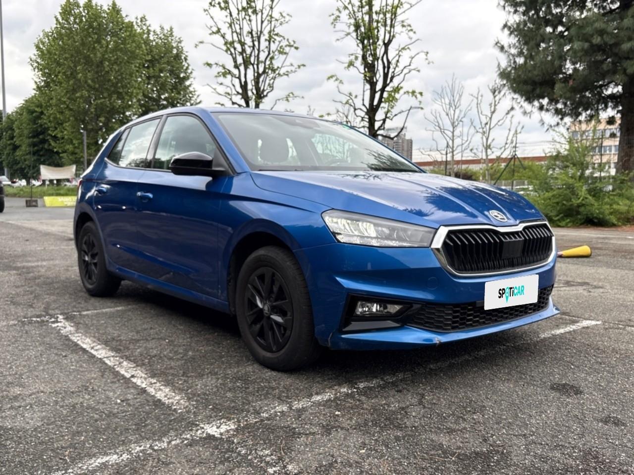 Skoda Skoda Fabia usata 14