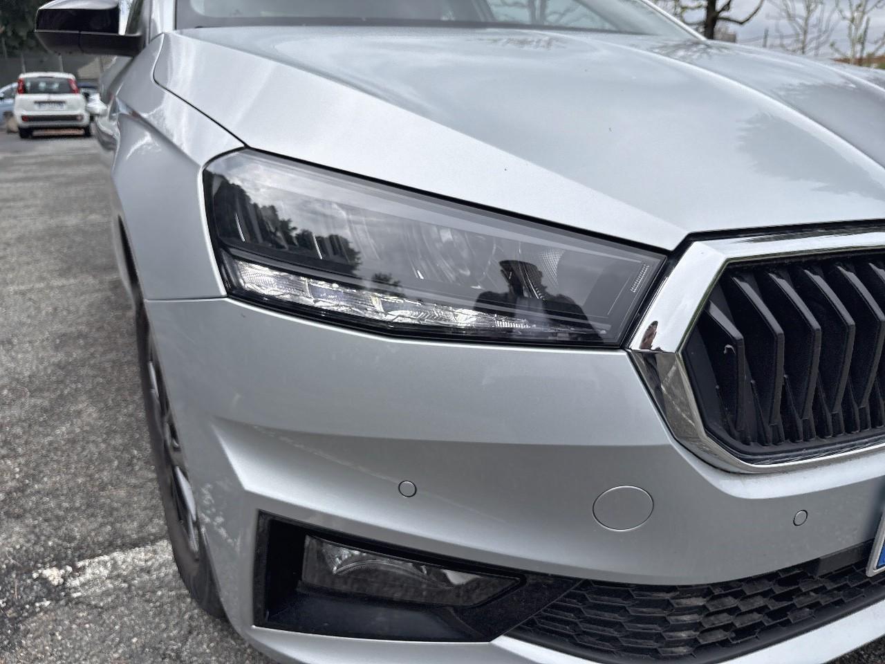 Skoda Skoda Fabia usata 12