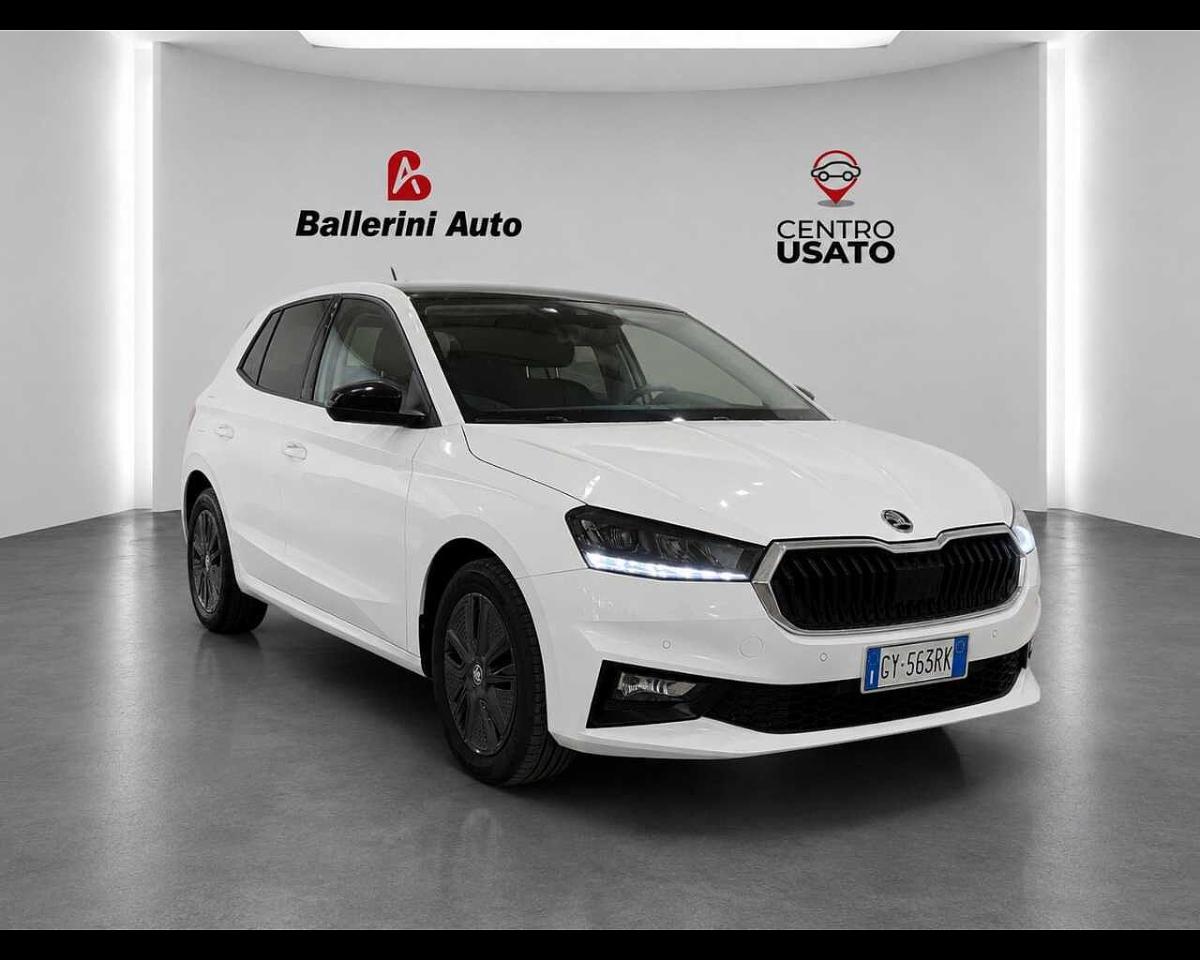 Skoda Skoda Fabia usata 8