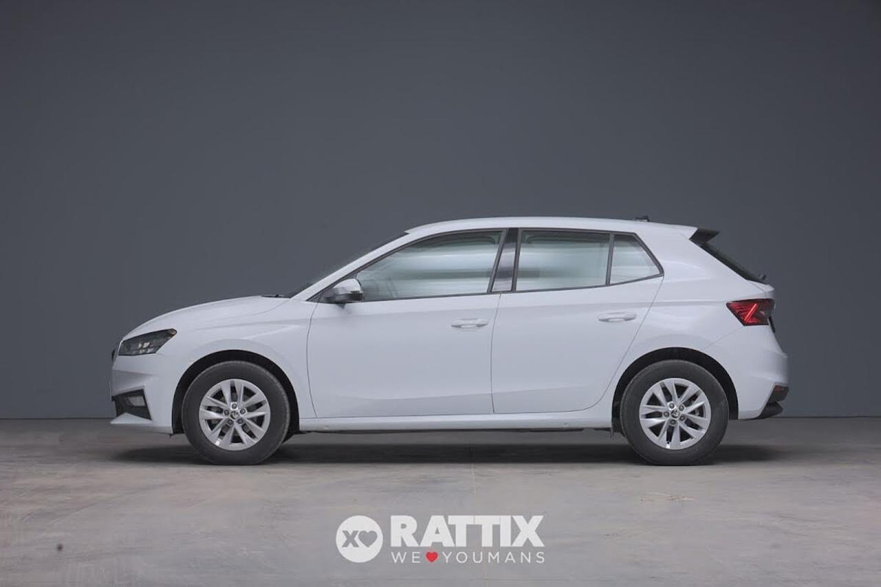 Skoda Skoda Fabia usata 11