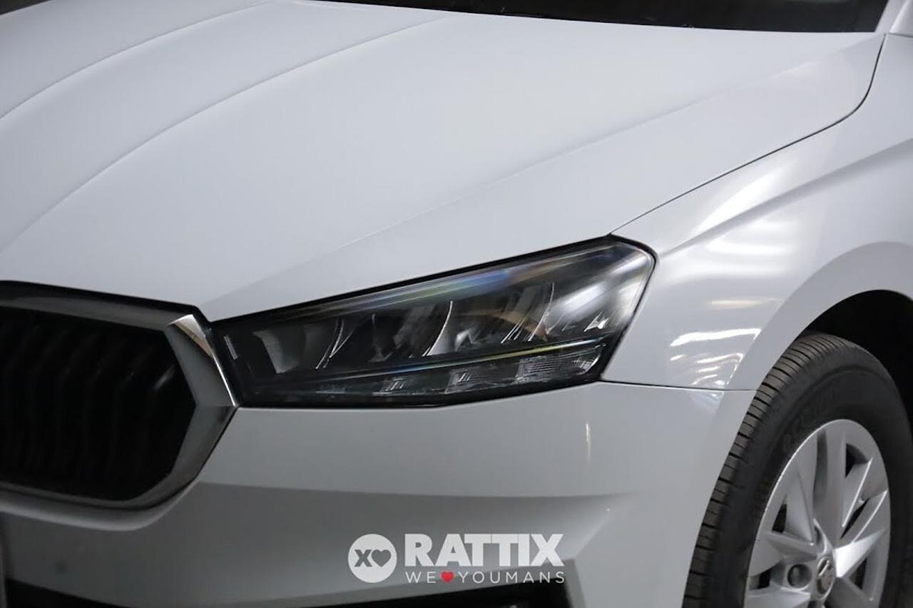 Skoda Skoda Fabia usata 18
