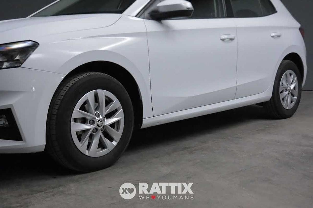 Skoda Skoda Fabia usata 19