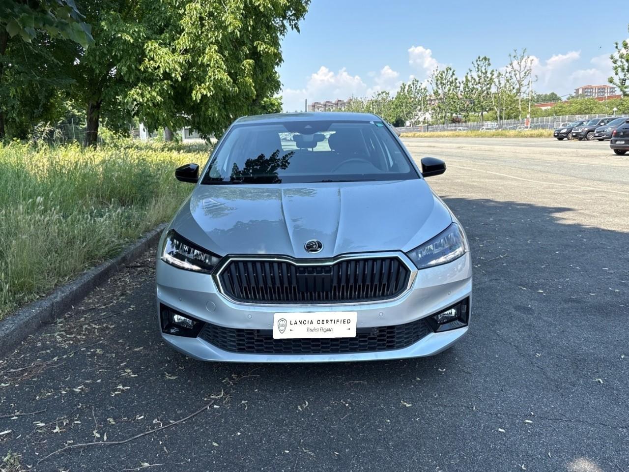 Skoda Skoda Fabia usata 11
