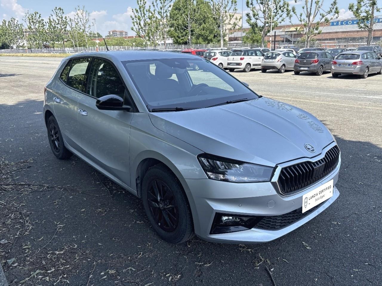 Skoda Skoda Fabia usata 13