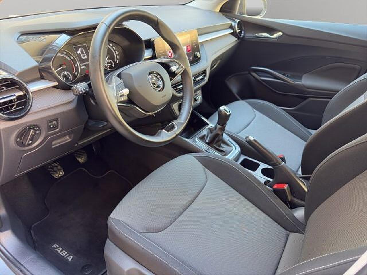 Skoda Skoda Fabia usata 1