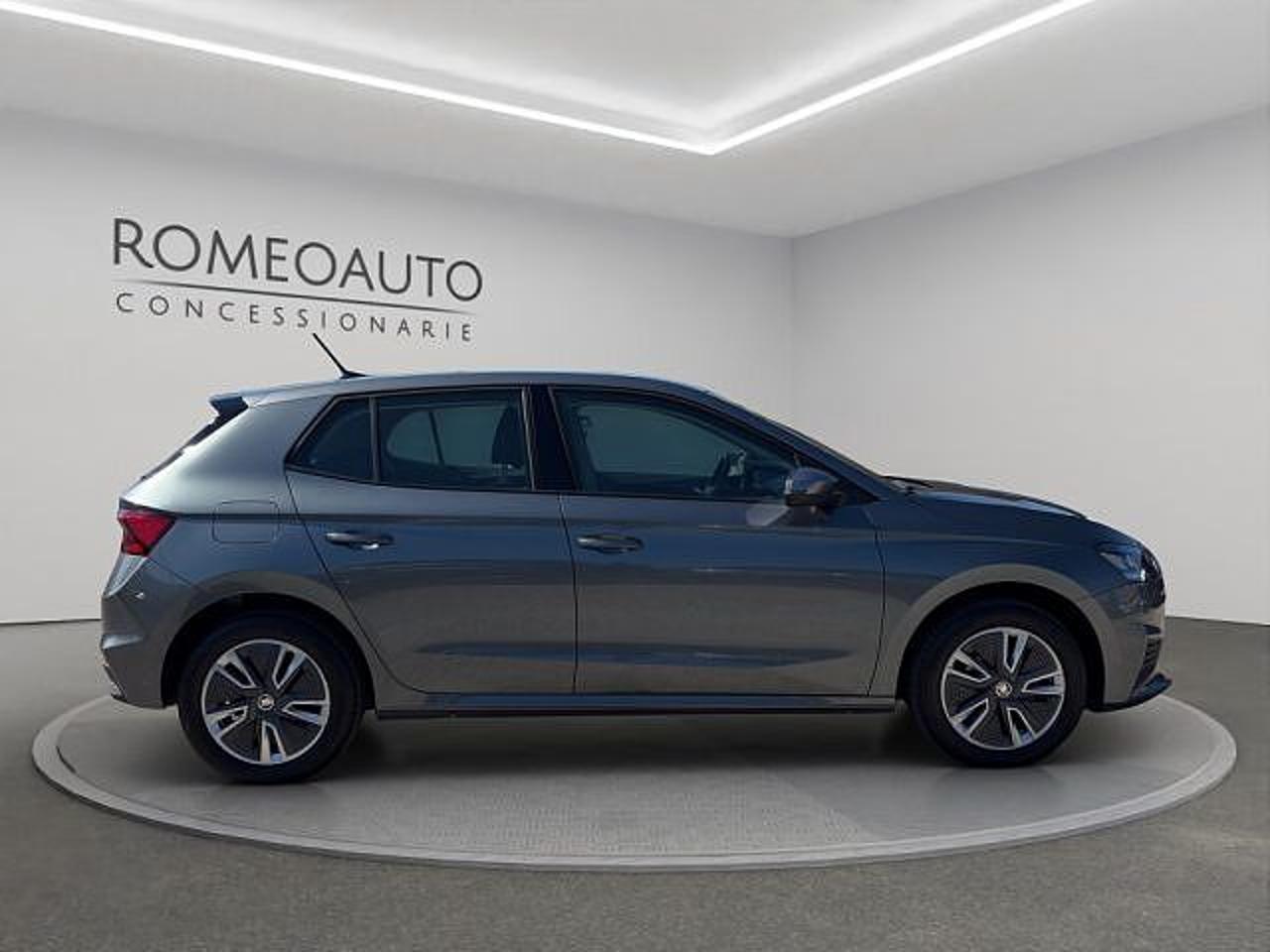 Skoda Skoda Fabia usata 21
