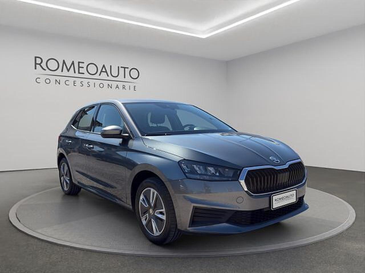 Skoda Skoda Fabia usata 22