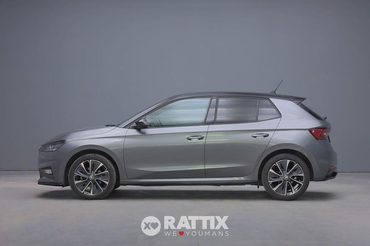 Skoda Skoda Fabia usata 11