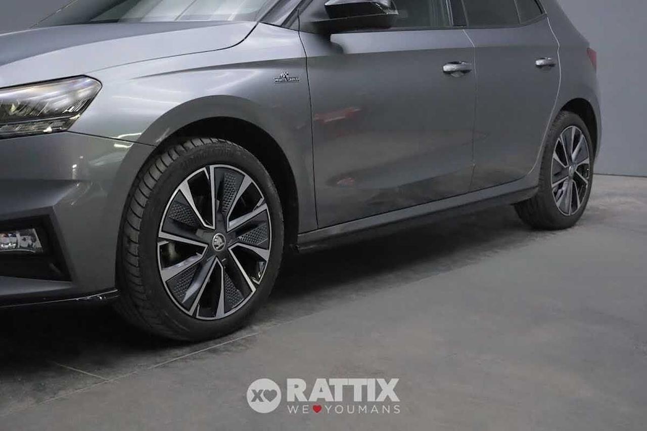 Skoda Skoda Fabia usata 20