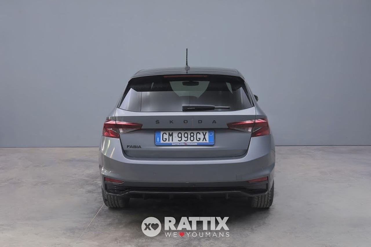 Skoda Skoda Fabia usata 21