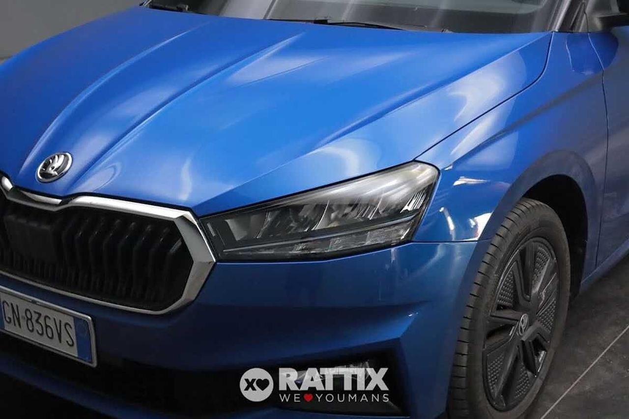 Skoda Skoda Fabia usata 19