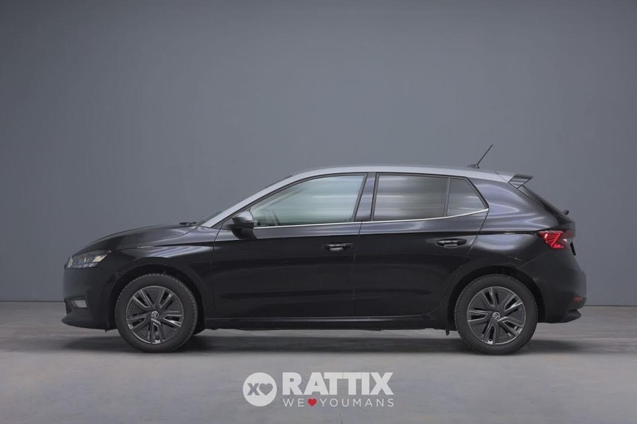 Skoda Skoda Fabia usata 11