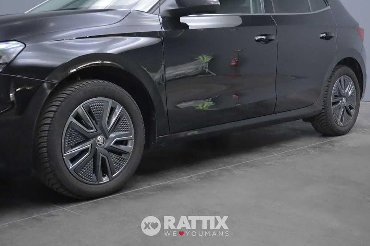 Skoda Skoda Fabia usata 21
