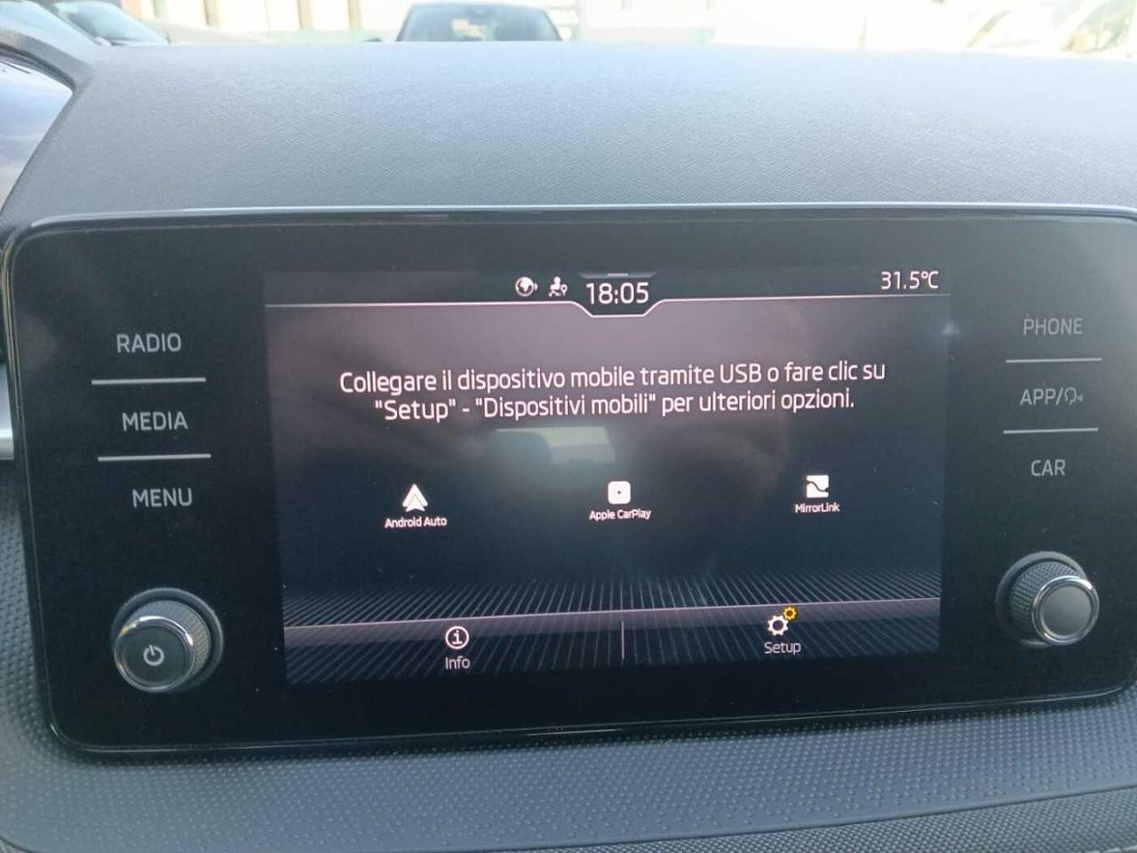 Skoda Skoda Fabia usata 19
