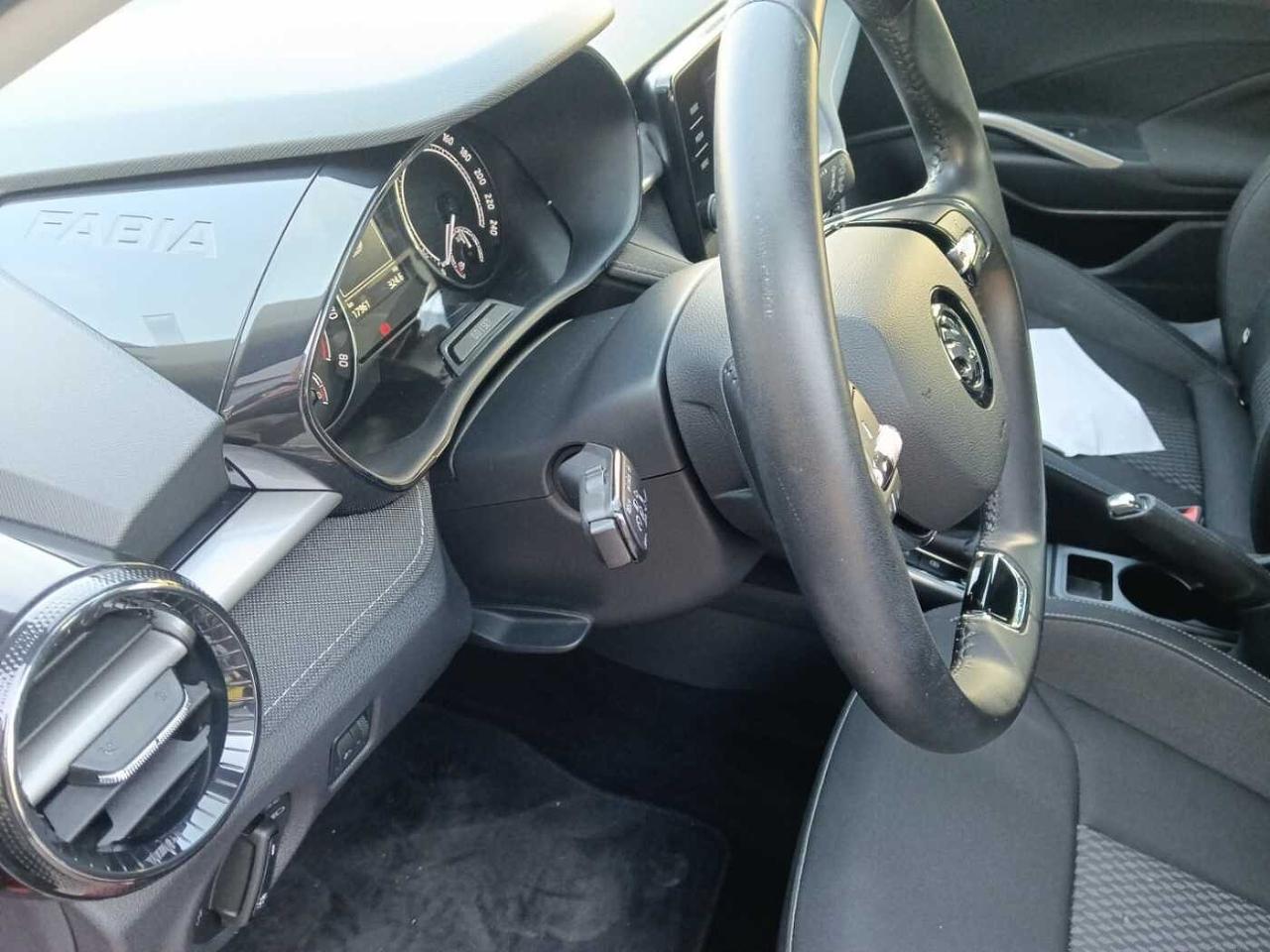 Skoda Skoda Fabia usata 20