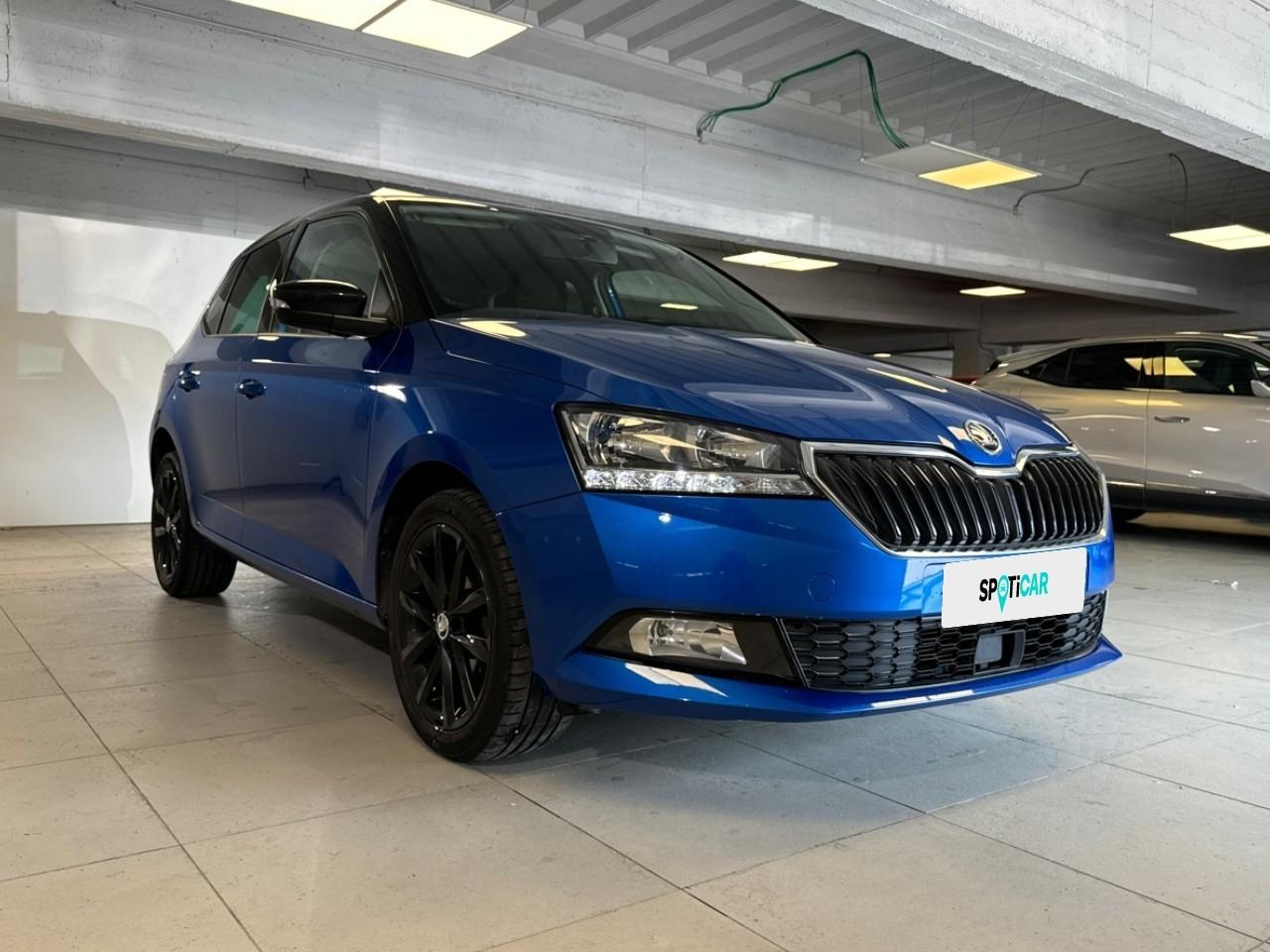 Skoda Skoda Fabia usata 14