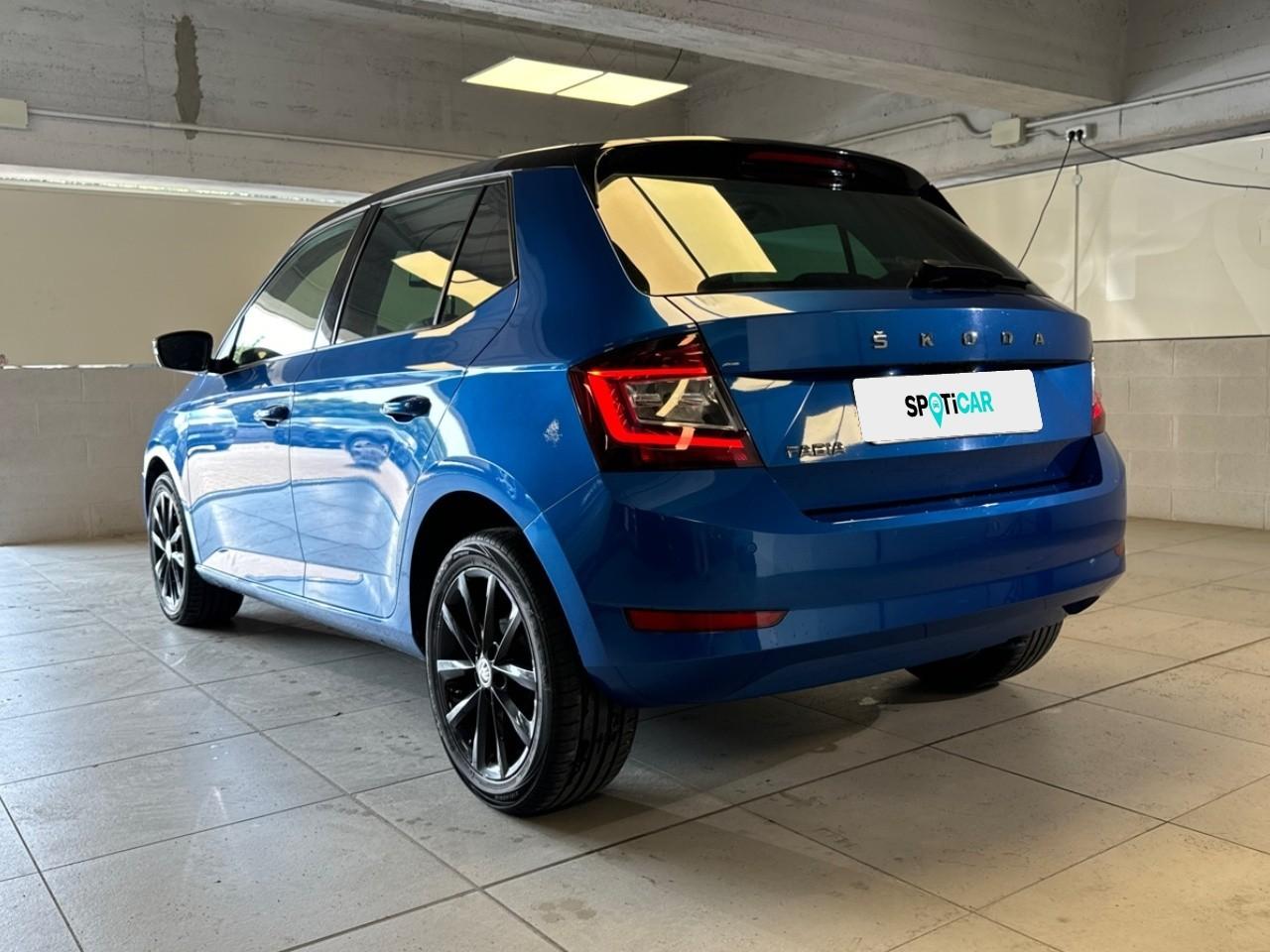 Skoda Skoda Fabia usata 18