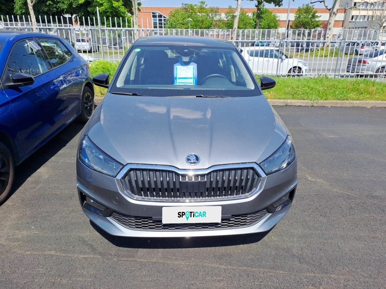 Skoda Skoda Fabia usata 11