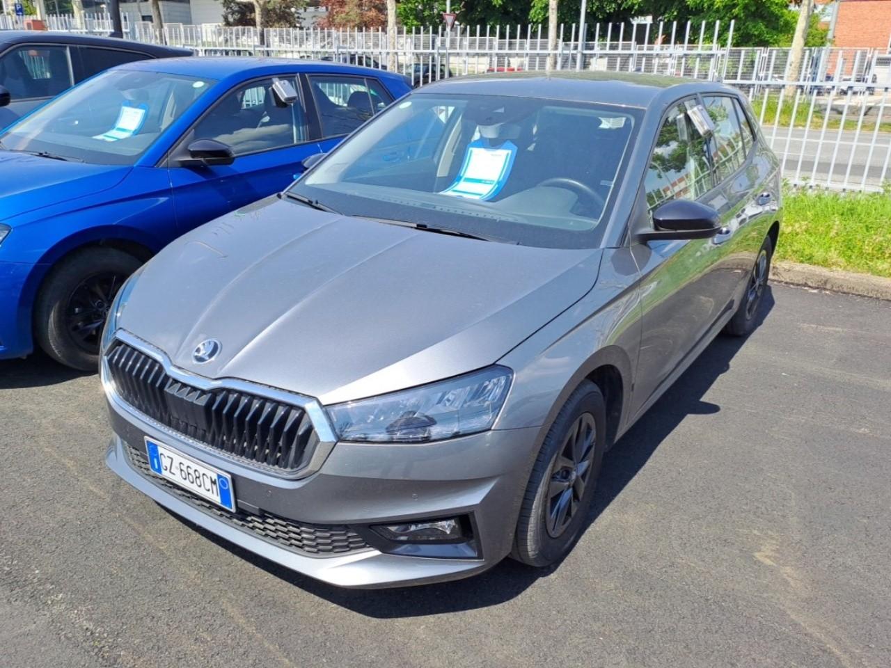 Skoda Skoda Fabia usata 12